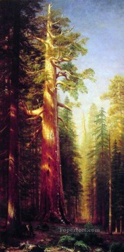 Landscapes Painting - The Great Trees Albert Bierstadt